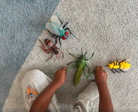 Toddler examining insect toys during sensory play
