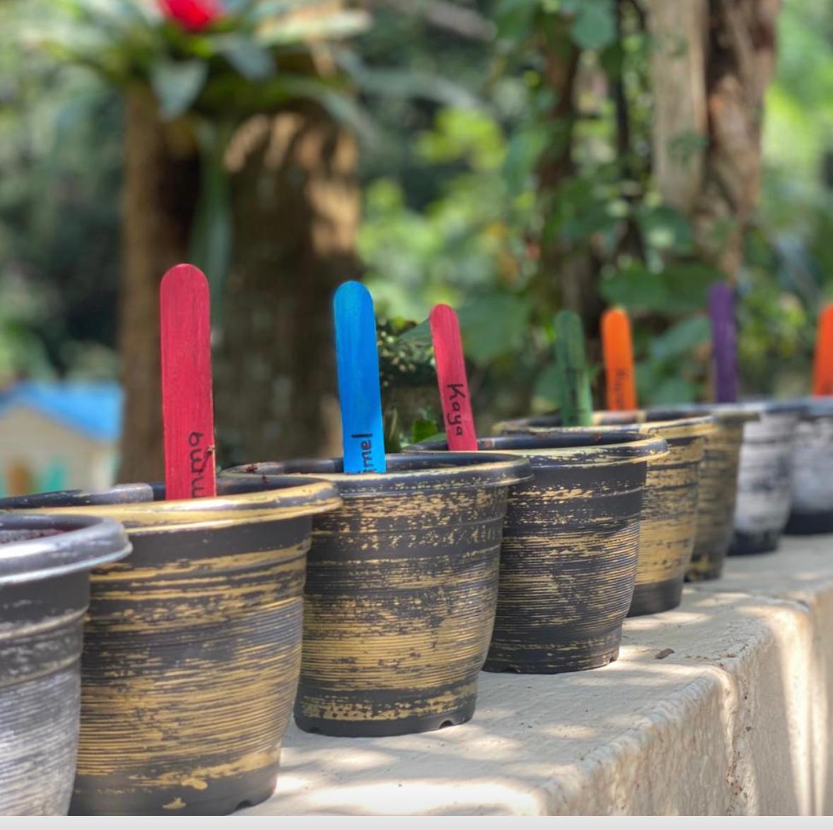Colorful popsicle-stick name markers planted in a row of small garden pots