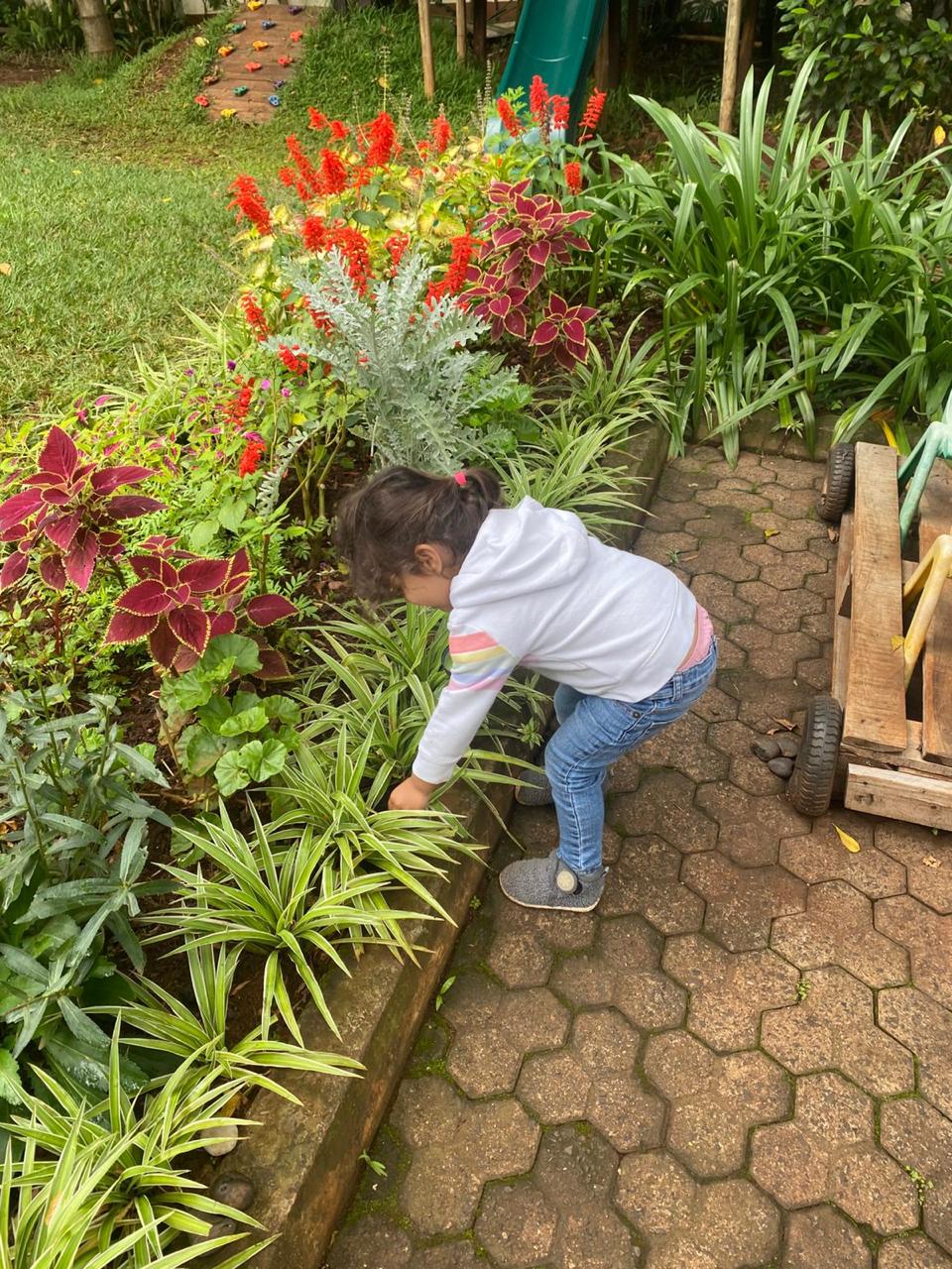 A child exploring plants and flowers in the garden