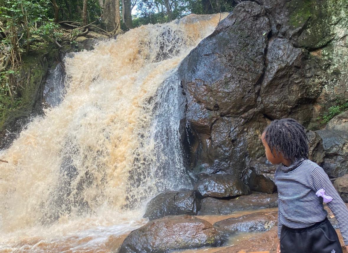 A child observing a waterfall on a nature outing